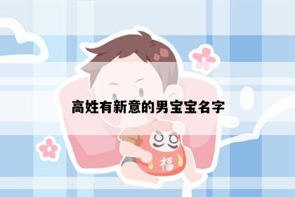 高姓有新意的男宝宝名字